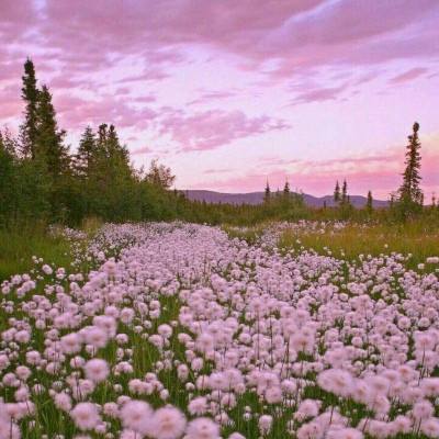 易倍手机app下载